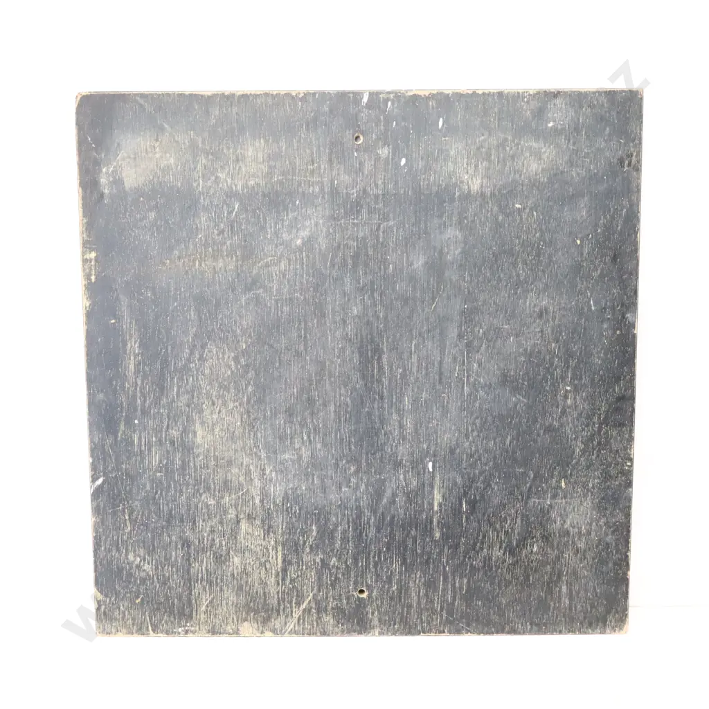 RARE AA Sign Palmerston North Alternative Route Image 1++