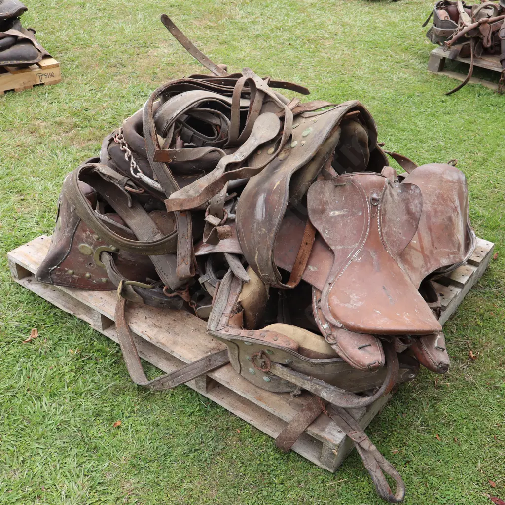 Pallet Horse Gear Image 1++