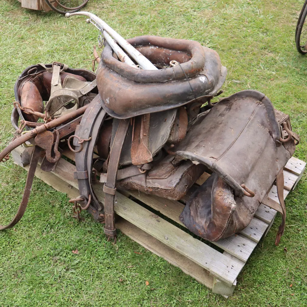 Pallet Horse Gear Image 1++