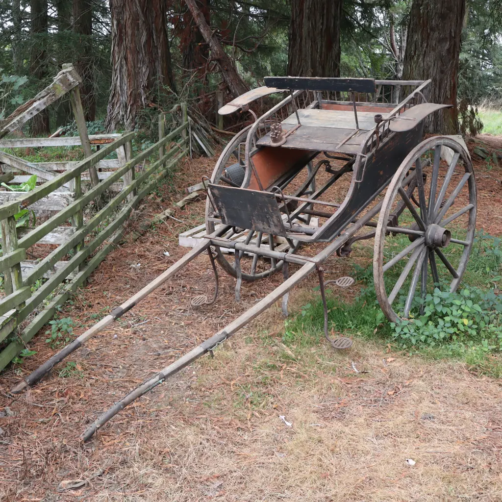 Horse Drawn Cart Image 1++