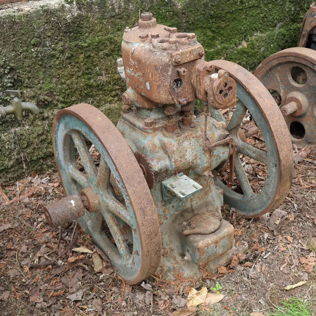 Lister Twin Flywheel Stationary Engine. 60cm Flywheels Image 1++