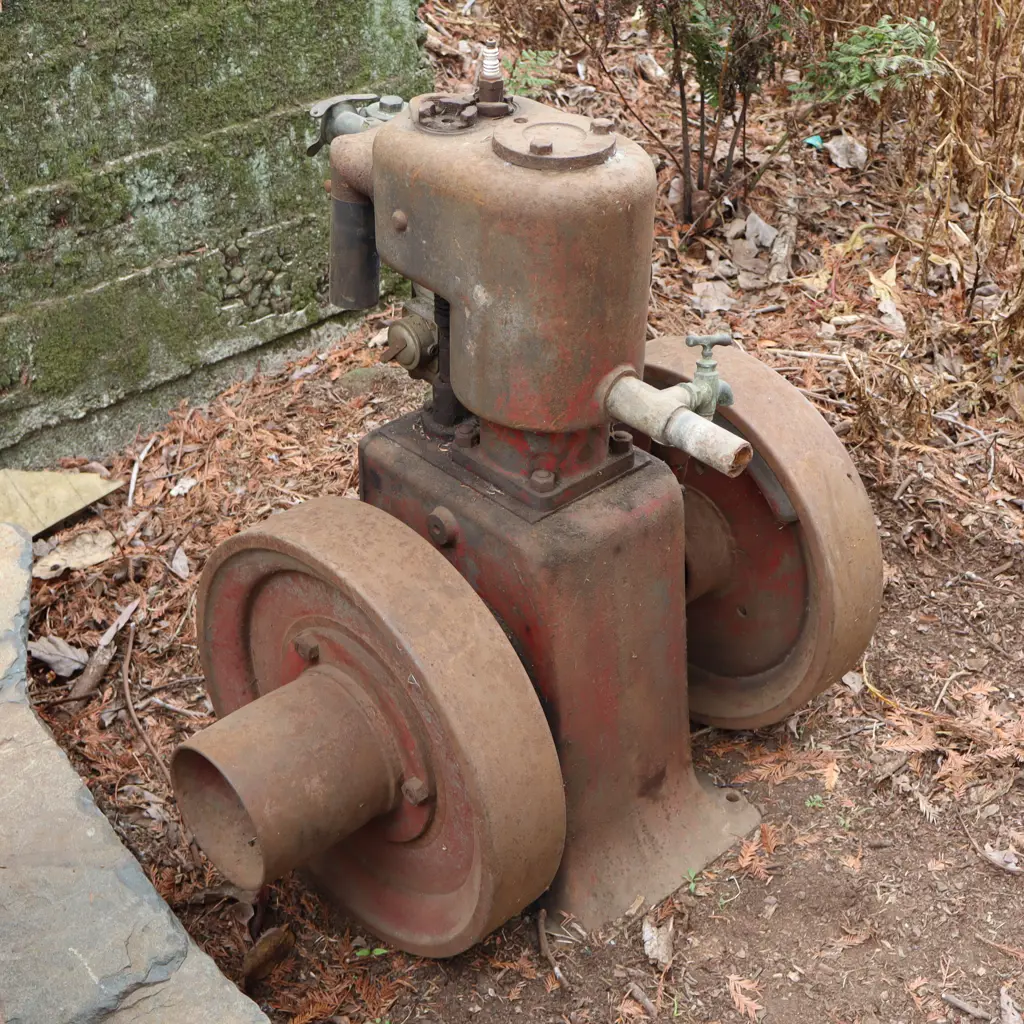 Anderson's Stationary Engine. 45cm Flywheel. Image 1++